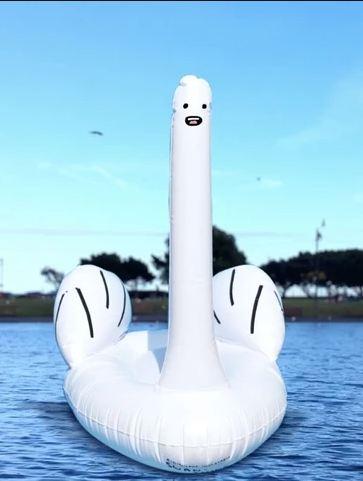 David Shrigley Ridiculous Inflatable Swan Thing Animation