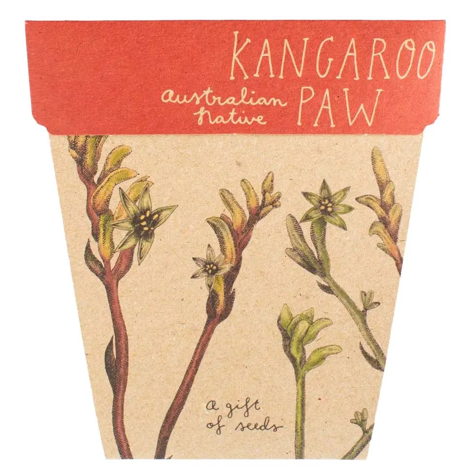 Kangaroo Paw Gift of Seeds x Sow 'n Sow - Third Drawer Down