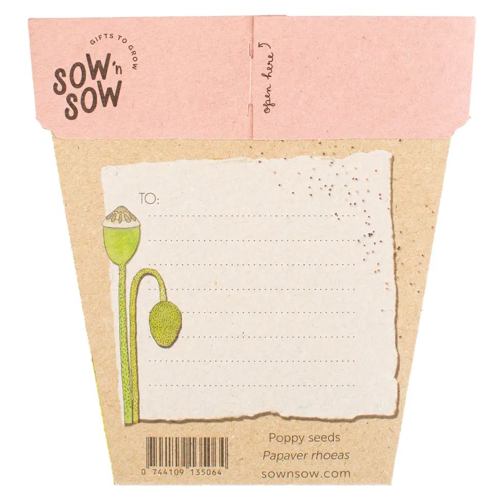 Poppy Flower Gift of Seeds x Sow 'n Sow - Third Drawer Down