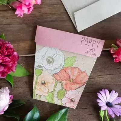 Poppy Flower Gift of Seeds x Sow 'n Sow - Third Drawer Down