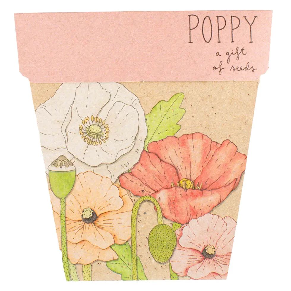 Poppy Flower Gift of Seeds x Sow 'n Sow - Third Drawer Down