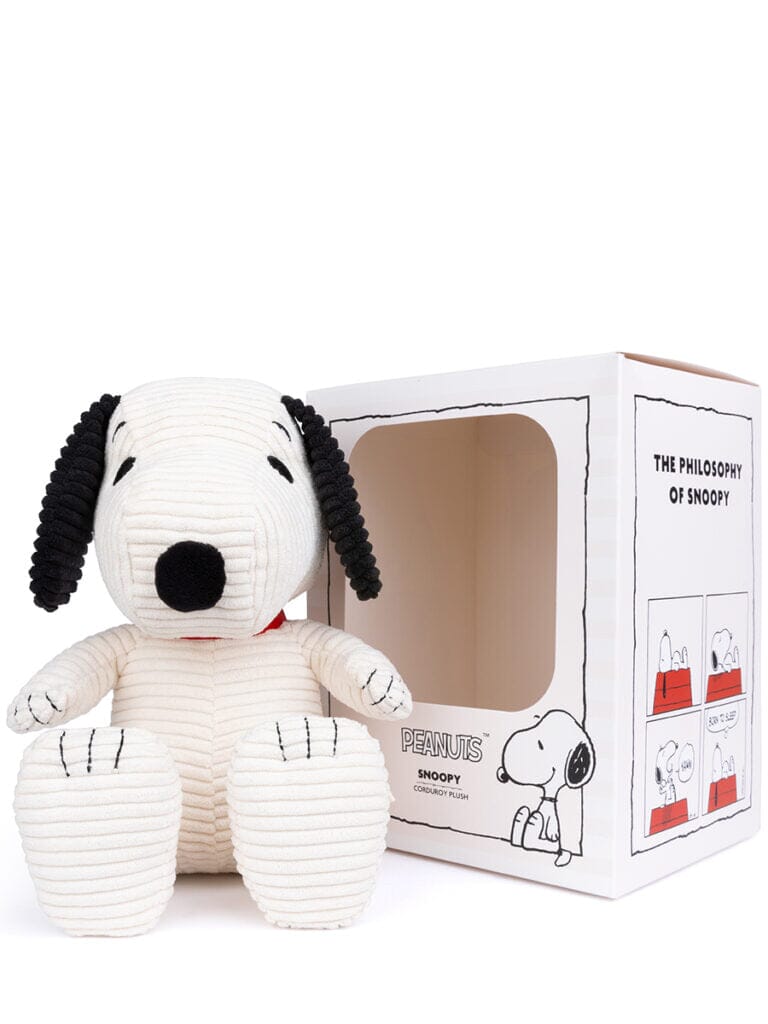 Large Sitting Snoopy in Giftbox - Third Drawer Down